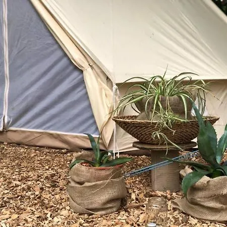 Luxuszelt Into The Glamping - Great Hazelnut *