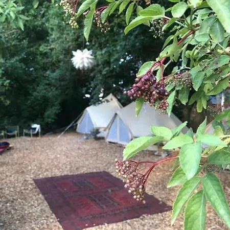 Into The Glamping - Great Hazelnut Markt Nordheim