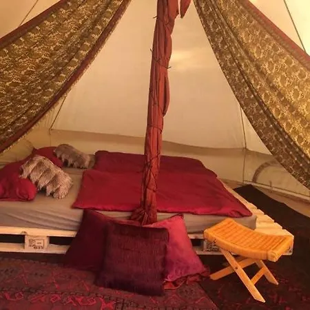 Into The Glamping - Great Hazelnut *